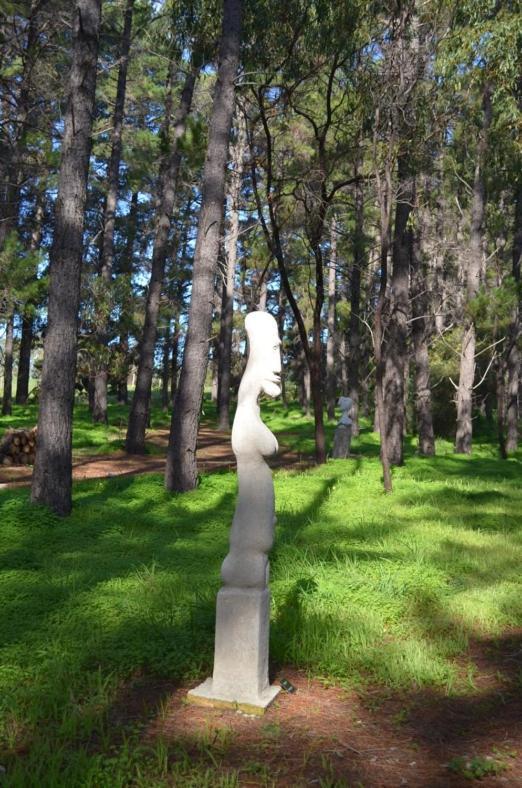 Bella Cosa Villa Mclaren Vale Dış mekan fotoğraf