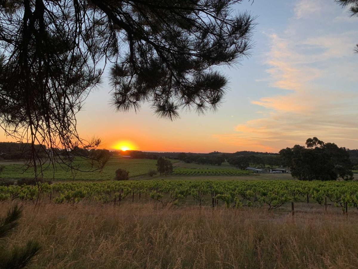 Bella Cosa Villa Mclaren Vale Dış mekan fotoğraf