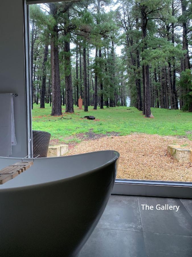 Bella Cosa Villa Mclaren Vale Dış mekan fotoğraf